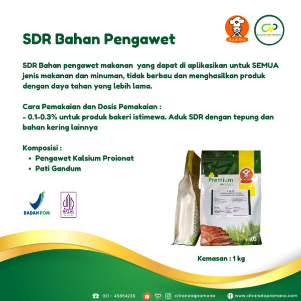 SDR Bahan Pengawet Pangan