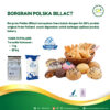 Borngrain Polska Billact Susu Bubuk Premium