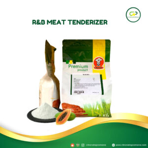 Meat Tenderizer Pengempuk Daging